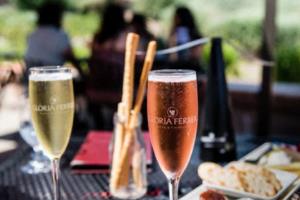 选品工具与数据查询分析工具介绍