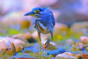 关键词的选择原则