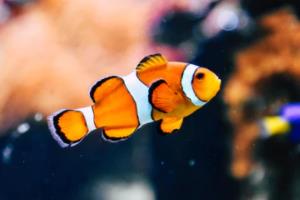 关键词的选择原则