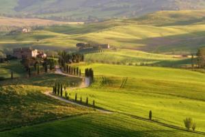 google 排​名​算​法